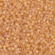 Miyuki delica beads 10/0 - Matted cantaloupe ab DBM-852